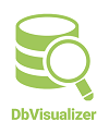 DbVisualizer Pro Basic Support Renewal 1 user